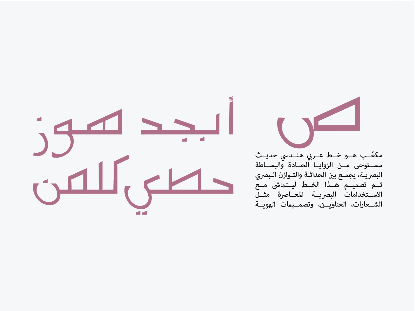 تايبو البورتفوليو 02 تايبو البورتفوليو 02